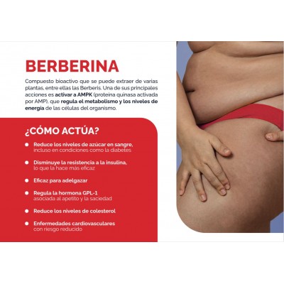 DIETFORMPIC 30 cápsulas de Dietmed Dietmed DIE-10928 Control de Peso salud.bio