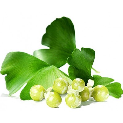 Ginkgo Biloba Concentrado Max 8500mg de Manabios Manabios MAN-37033 Sistema circulatorio salud.bio