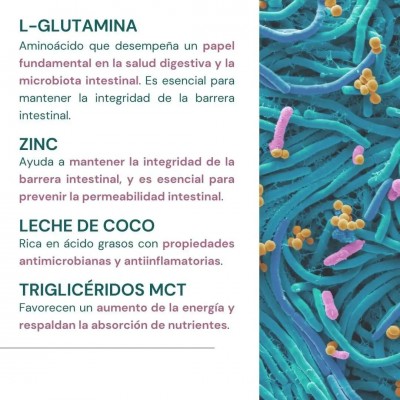 Probiotax Microbiota Coco de 150gr 30 dosis de WeBotanix WEBOTANIX WEB-22345 Ayudas aparato Digestivo salud.bio