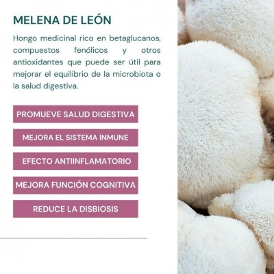 Probiotax Microbiota Cacao de 150gr 30 dosis de WeBotanix WEBOTANIX WEB-22348 Ayudas aparato Digestivo salud.bio