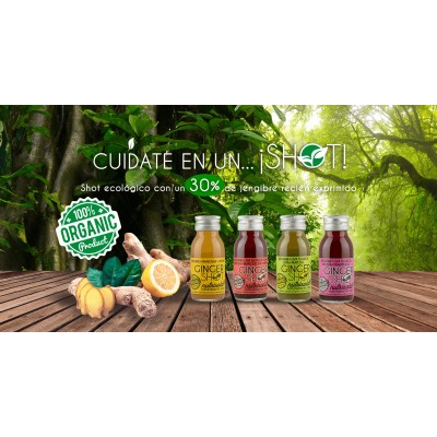Ginger Shot diario Jengibre, Matcha, Uva blanca y Lima Nutrisola Nutrisola 843409100137 ECO (ecologico), BIO (biologico), Org...