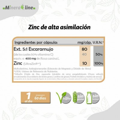 Mineraline ZINCUM (Zinc + Vitamina C) 60 cápsulas de Pinisan Pinisan MYC-00816 Sistema inmunitario salud.bio