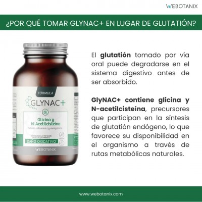 GlyNAC+ (Fórmula Daño Oxidativo) 60 cápsulas Vegetales de Webotanix WEBOTANIX WEB-22354 Antioxidantes salud.bio