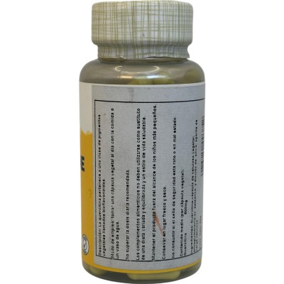 Quercetin 500 mg. 90 VegCaps de Solaray SOLARAY SOL-44685 Antioxidantes salud.bio