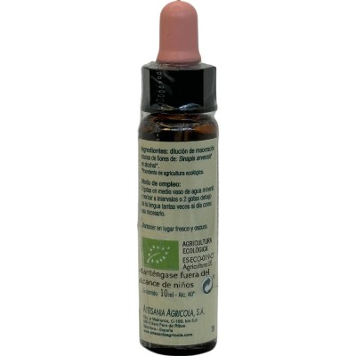 Mostaza (21) MUSTARD (Flores de Bach) Elixir Floral Ecológico de PLANTIS (Dr. Bach) Artesania Agrícola ART-09021 Estados emoc...