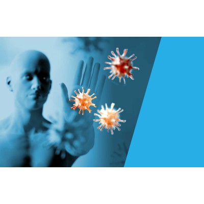 Defenmune (con lactoferrina, hongos, quercetina, zinc, Vitamina C ) de Novadiet Novadiet 52123 Sistema inmunitario salud.bio