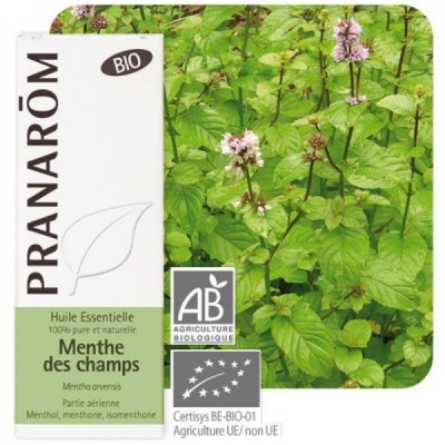 Menta del Campo Aceite Esencial Natural BIO Quimiotipado de Pranarôm Pranarom 225958 Acéites esenciales salud.bio
