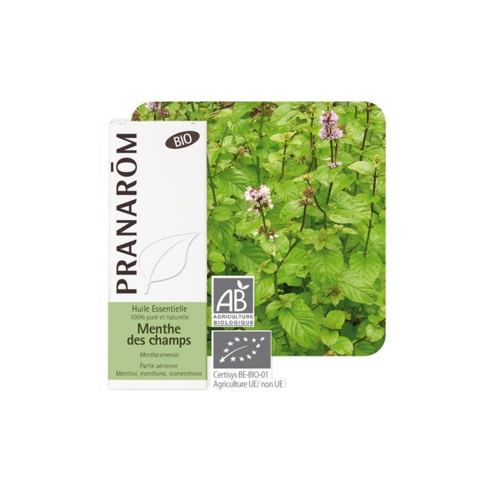Menta del Campo Aceite Esencial Natural BIO Quimiotipado de Pranarôm Pranarom 225958 Acéites esenciales salud.bio
