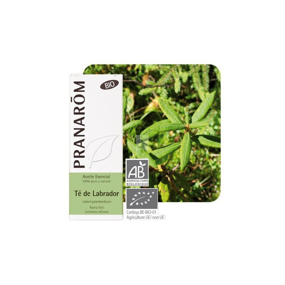 Té de labrador Aceite Esencial Natural BIO Quimiotipado de Pranarôm Pranarom 22368 Acéites esenciales salud.bio