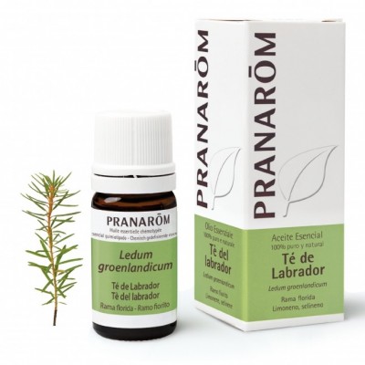 Té de labrador Aceite Esencial Natural BIO Quimiotipado de Pranarôm Pranarom 22368 Acéites esenciales salud.bio