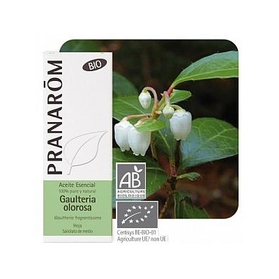 Gaulteria Olorosa Aceite Esencial Natural Quimiotipado de Pranarôm Pranarom 22367 Acéites esenciales salud.bio