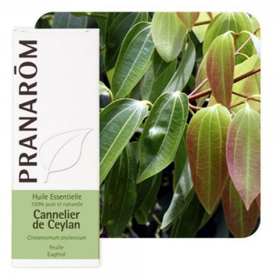 Canela de Ceilan Corteza Aceite Esencial Natural Quimiotipado de Pranarôm Pranarom 22123 Acéites esenciales salud.bio
