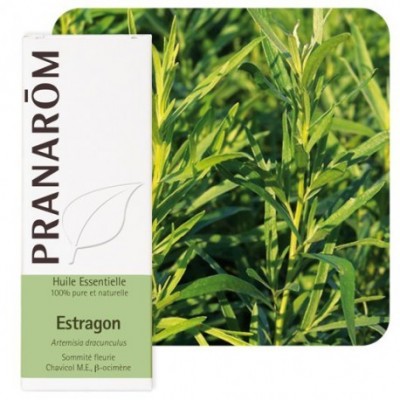 Estragon 5ml (Pre Diluido) Aceite Esencial Natural Quimiotipado de Pranarôm Pranarom 2215979 Acéites esenciales salud.bio