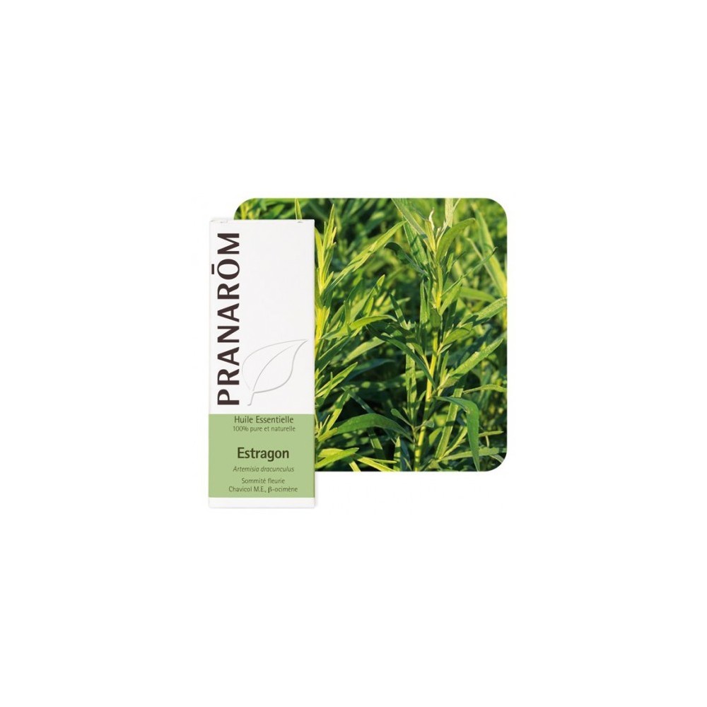 Estragon 5ml (Pre Diluido) Aceite Esencial Natural Quimiotipado de Pranarôm Pranarom 2215979 Acéites esenciales salud.bio