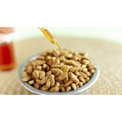 PREMIUM HEMP OIL for Pets 500 – Aceite de Cáñamo para mascotas 500 mg, de enecta enecta 1001 Estractos y tinturas  salud.bio