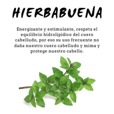 Champú Proteico de HierbaBuena 300ml de D´Shila D´Shila 5011090300 Cosmética Natural salud.bio