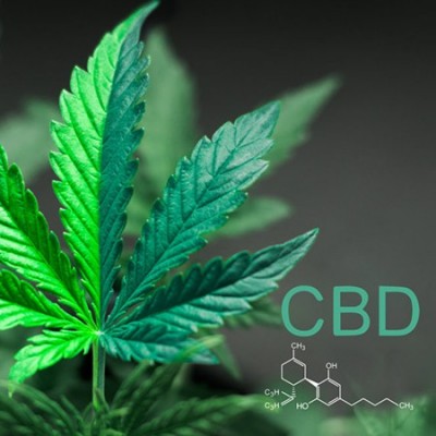 Infusión de Cáñamo 50gr. de India lab India Organic USA 5903707352500 Plantas Medicinales salud.bio