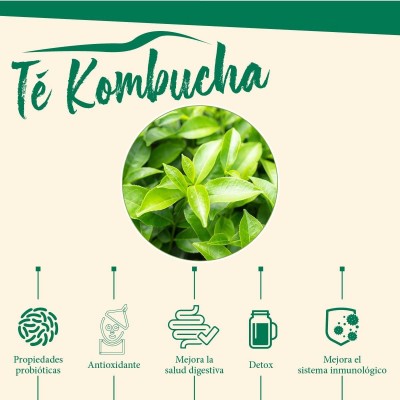 Kombucha complex de TEGOR Tegor T30879 Ayudas aparato Digestivo salud.bio