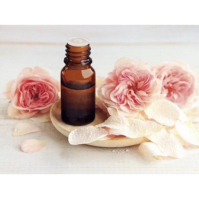 Gel aloe vera y Rosa Mosqueta 99% Puro 500 ml de derbós Derbós DER-090 Cosmética Natural salud.bio