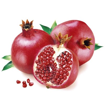 Gel aloe vera con Granada 99% Puro 500 ml de derbós Derbós DER-181 Cosmética Natural salud.bio