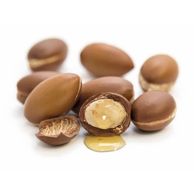 Gel aloe vera con Aceite de Argan y Q10 natural 500 ml de derbós Derbós DER-095 Cosmética Natural salud.bio