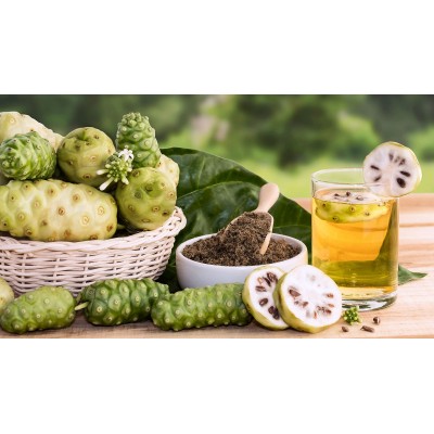Noni Morinda citrifolia (Estado Puro antigua innoval) 40 cápsulas de Tongil Tongil M50 Sistema inmunitario salud.bio