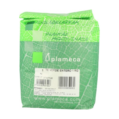 Té Verde Entero 1Kg de Plameca Plameca PLA-084229 Plantas Medicinales salud.bio
