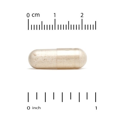 Huperzina A, 250 mcg, 90 cápsulas vegetales de California Gold Nutrition California Gold Nutrition CGN-02168 Memoria salud.bio