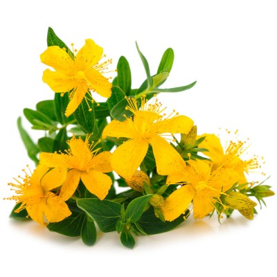 John´s Wort (Hipérico) 230mg 60 cápsulas vegetales de Anastore Anastore SC-25 Estados emocionales, ansiedad, estrés, depresió...