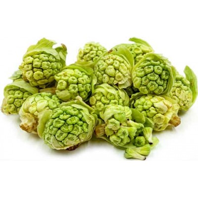 Butterbur (Petasita) 60 VegCaps. Sin alcaloides. Apto para veganos de Solaray SOLARAY SM-11664 Sistema inmunitario salud.bio