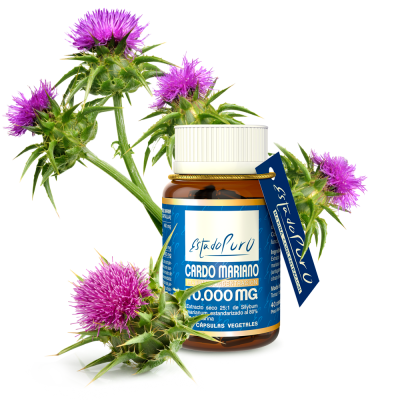 Cardo Mariano 10000mg 80 Cápsulas de Estado Puro Tongil M90 Higado y sistema hepatobiliar salud.bio