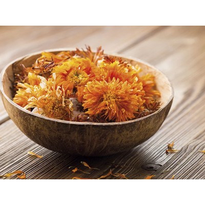 Gel aloe vera y árbol de té 500 ml de derbós Derbós DER-117 Cosmética Natural salud.bio