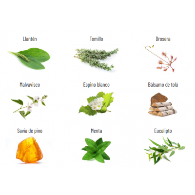 LLANTEDIET RESPIR NAC 250ml de Novadiet Novadiet NOV-04018 Sistema respiratório salud.bio