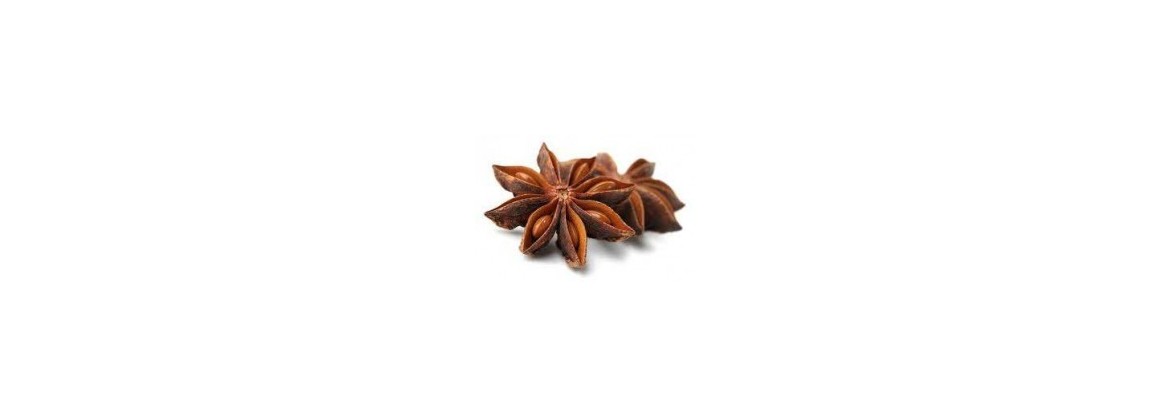 plantas y semillas empacadas