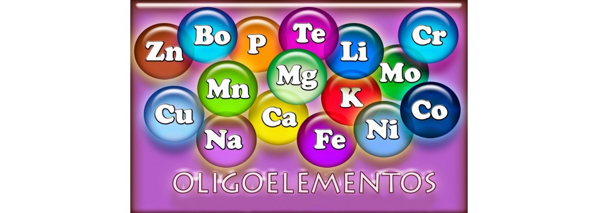 oligoelementos