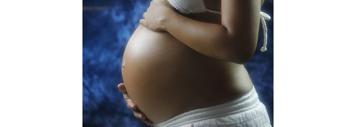 embarazo y lactancia