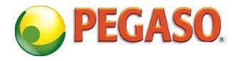 Pegaso S.R.L.