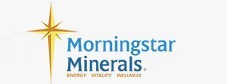 Morningstar Minerals